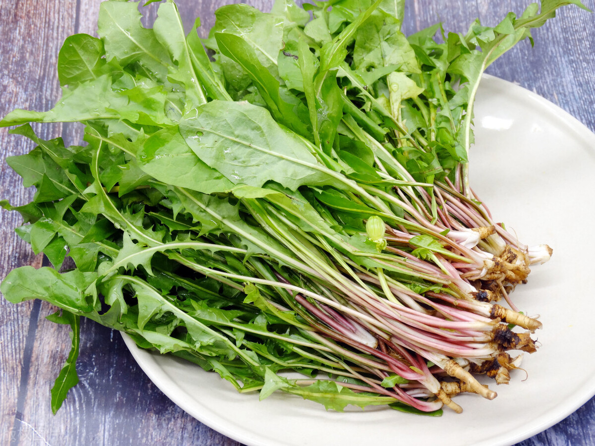 春分吃芽，5種�春芽�可多吃，2種�毒芽�不能吃，健康最重要