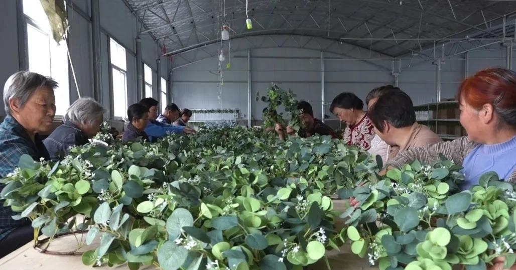 青华镇人大代表：当好服务产业项目的“店小二”