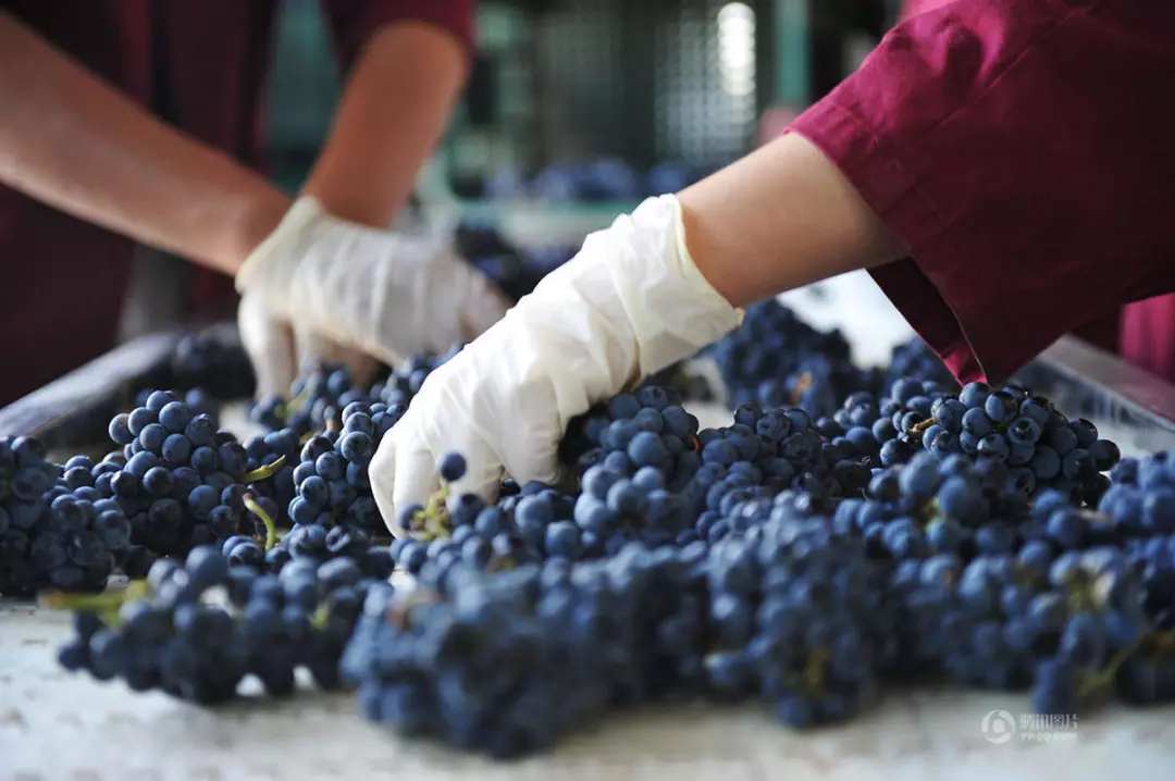 史上最全酿酒全过程详解，建议收藏（多图）