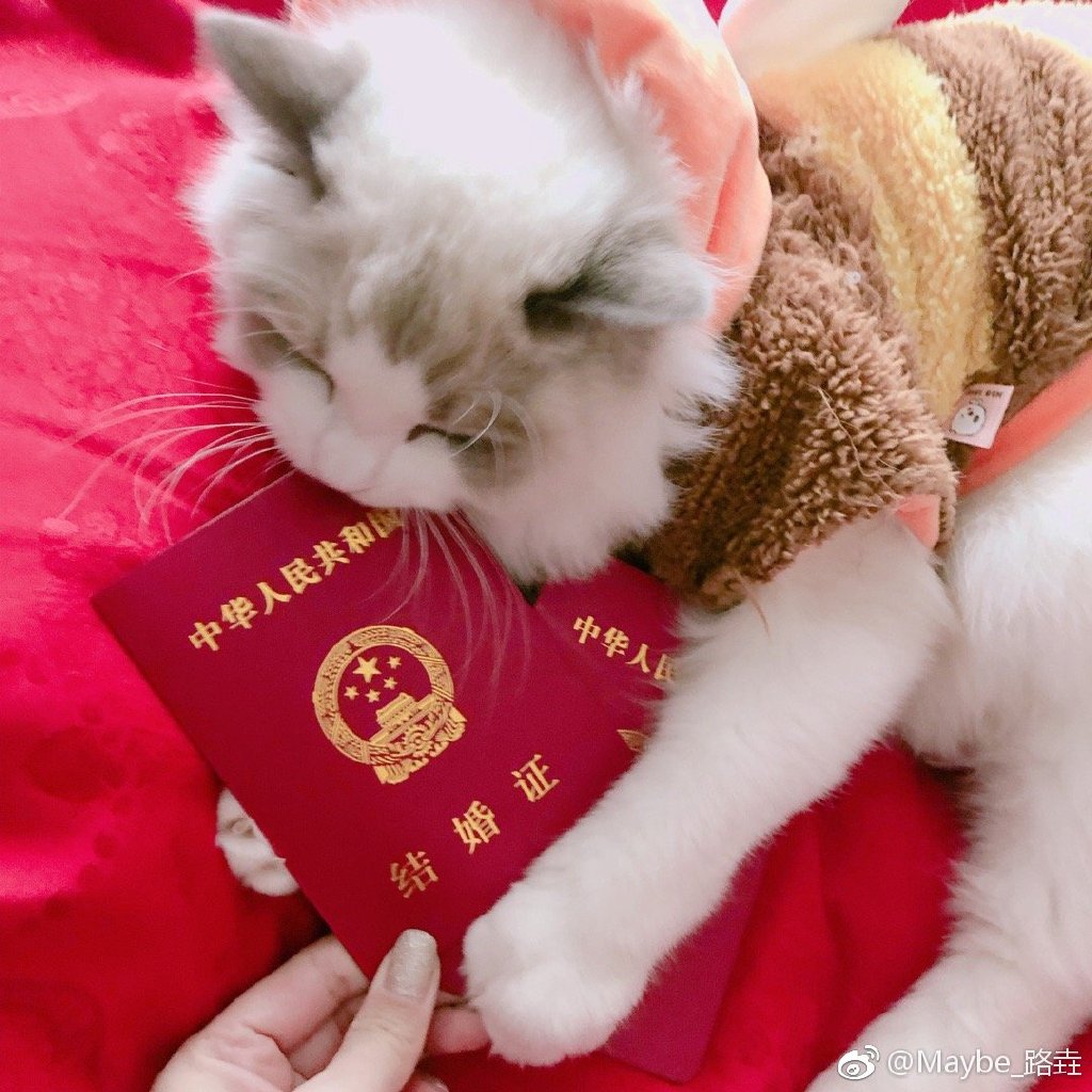 DOTA2顶级中单Maybe登上热搜榜!微博