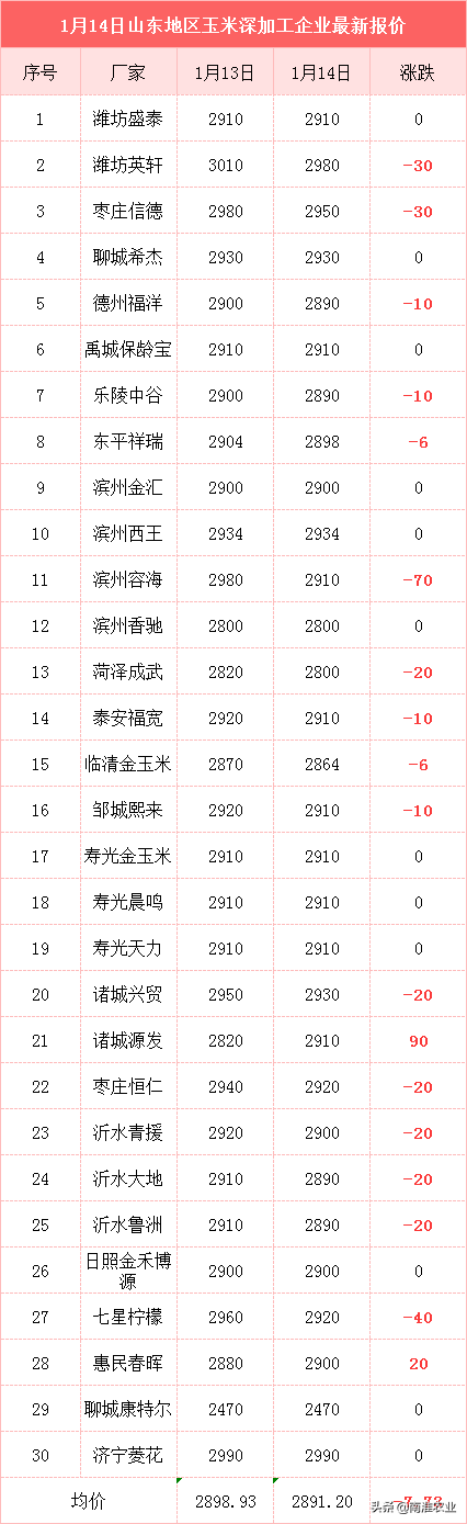 山东玉米跌幅加大，东北却大涨200，行情该如何走？预示风险？