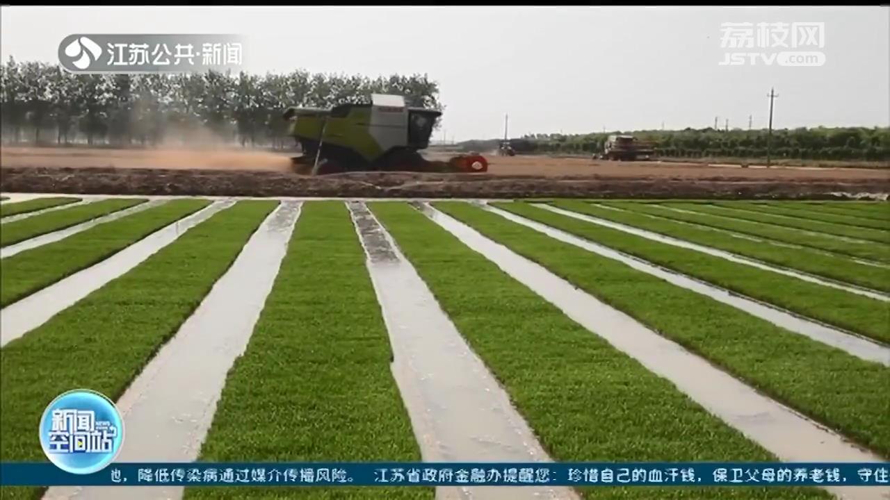 科技赋能 江苏全省水稻栽插快速推进