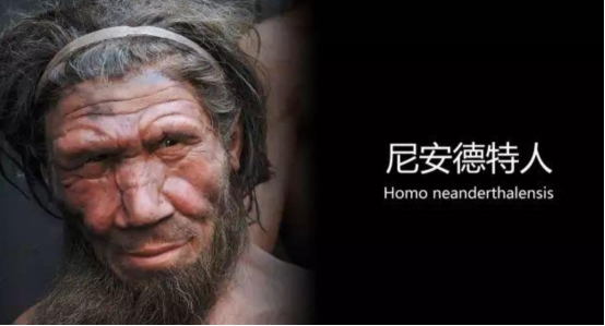 4万年前尼安德特人已灭绝，到底是谁毁了他们？