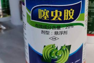 百香果蓟马活跃爆发，常用的化学药剂有哪些？各有哪些优缺点呢？