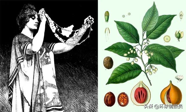 �̲��������ǡ��¼��º�������ӡ��ġ�������ġ��Ӻζ�����