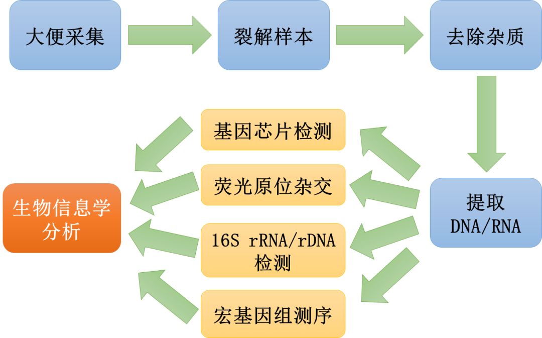 這是一篇有味道的科普