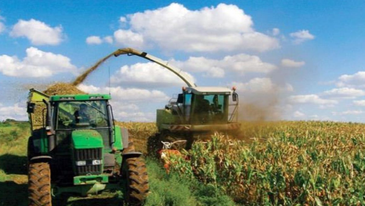 替代中國地位？ 遭受重創後，澳農業部長：尋求中方予以通話