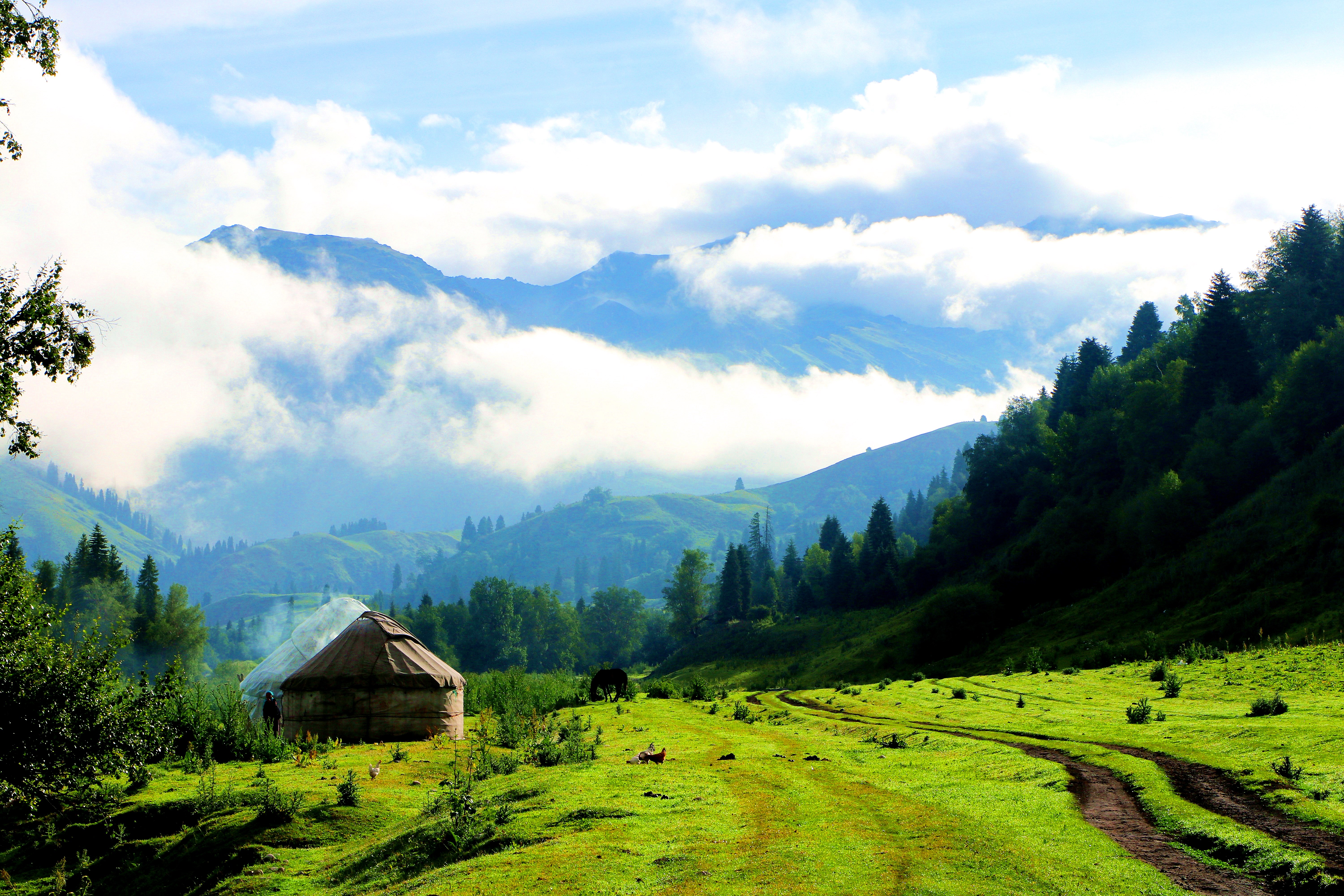 休闲避暑好去处将军谷雪岭云杉美如画
