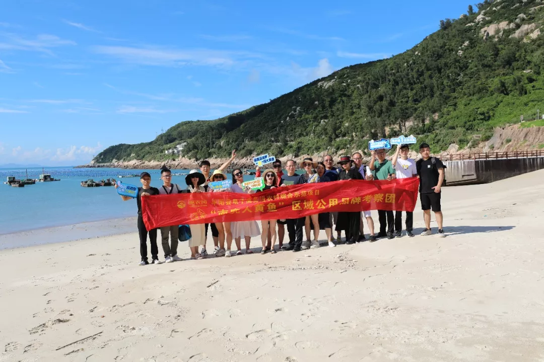 2021年平阳“南麂大黄鱼”全网话题活动举行 上线当天点击量破10w-识物网 - 中国商业零售品牌知识门户