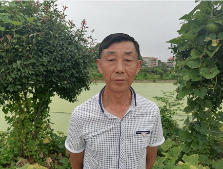 湖北武穴：四望山下好教育，德里桥上育英才