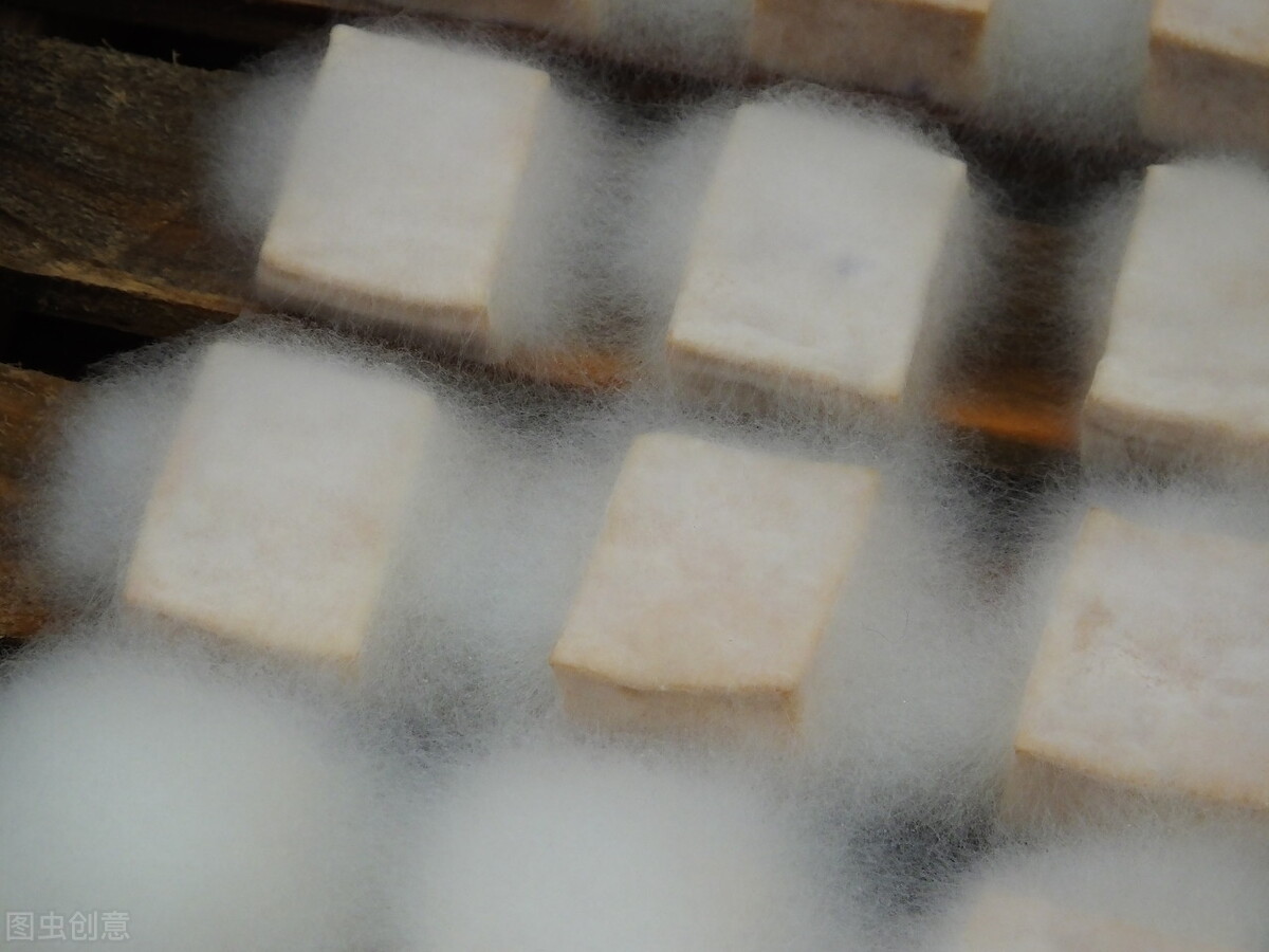 Why can a piece of "hairy" tofu conquer the Chinese people? iNEWS