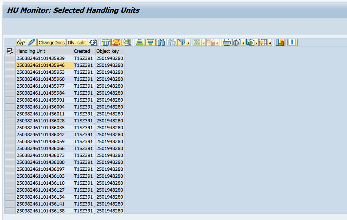 SAP HUM事務程式碼HUMO裡顯示內層和外層HU資訊