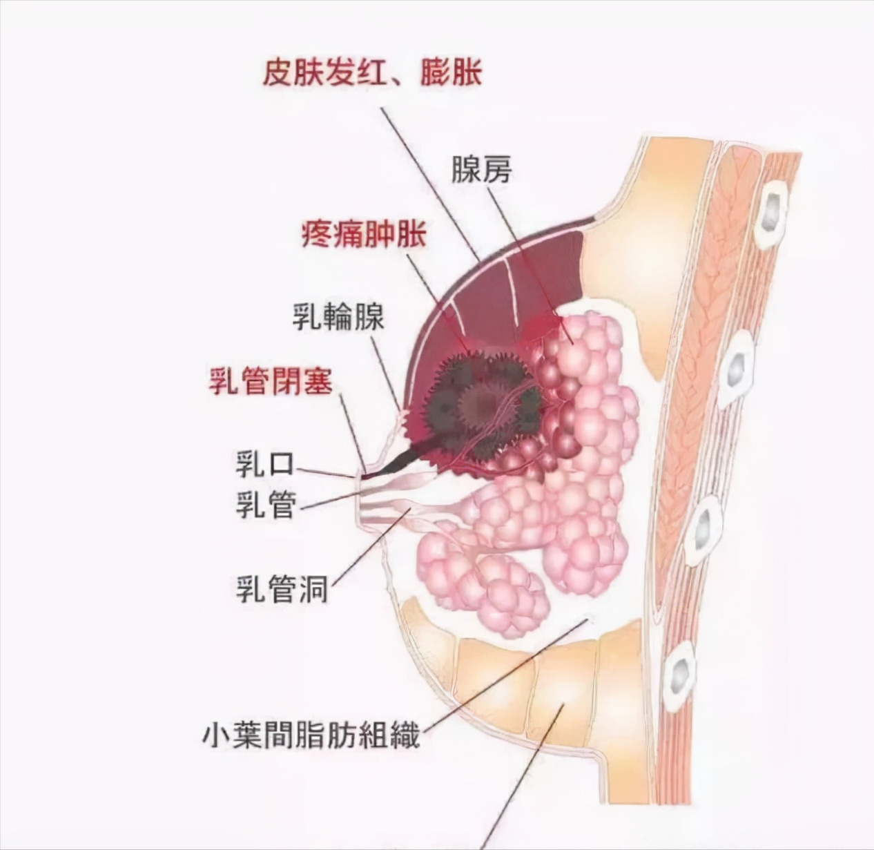 “这是最摧残的酷刑！”章子怡产后发文，数万