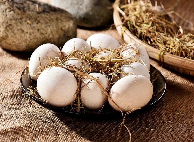 央视315晚会曝光名单有哪些 回顾近10届315晚会曝