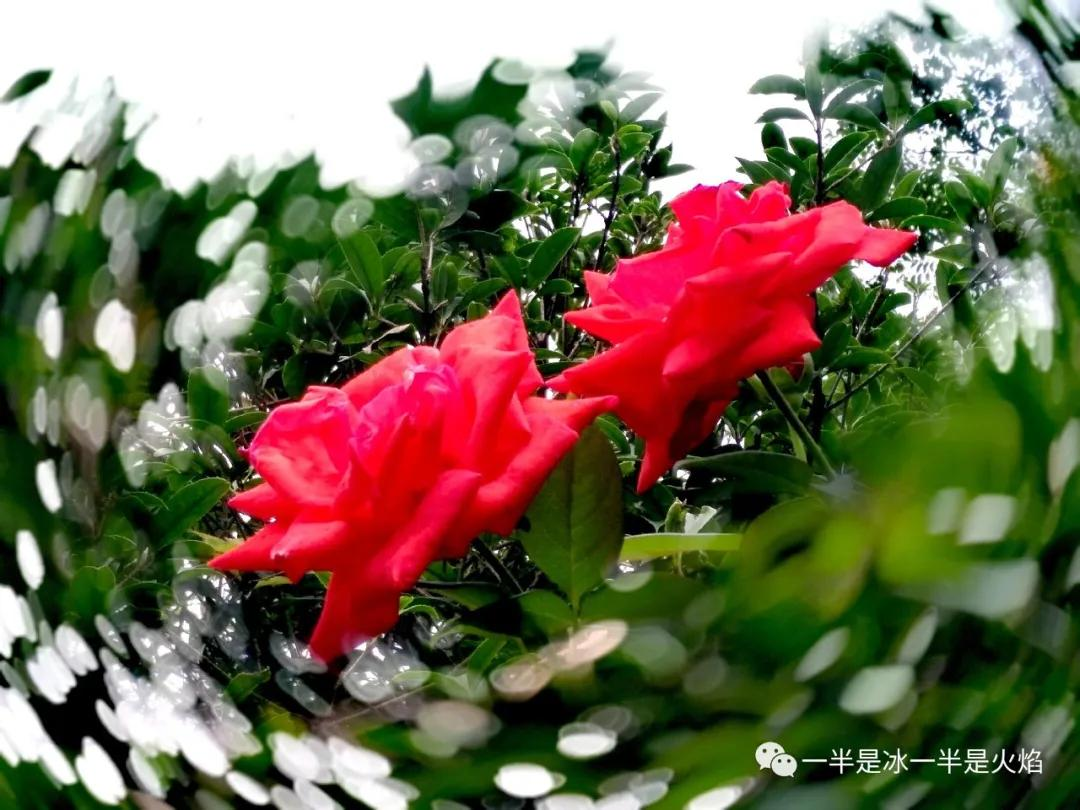 随笔:你那里下雨了吗-第4张图片-非凡网 随笔:你那里下雨了吗-第4张图片-非凡网