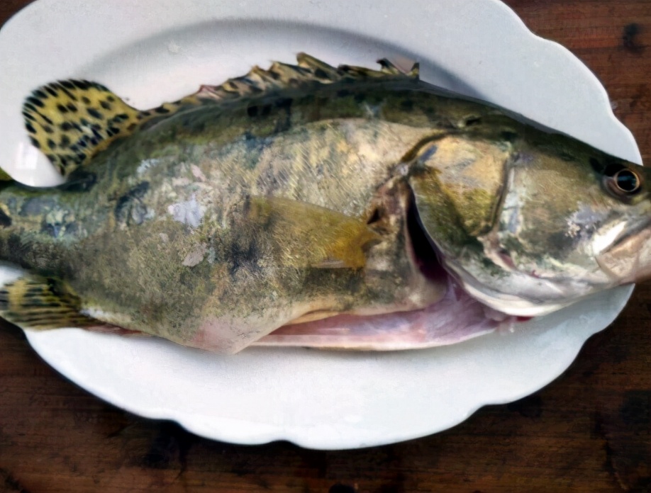 图片[2]-清蒸桂鱼的做法步骤图 清蒸桂鱼时牢记3个小细节鱼肉鲜嫩滑且-起舞食谱网