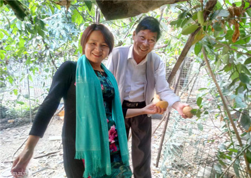 广东惠州：爱心人士帮扶滞销年桔 精准扶贫情暖龙门果农