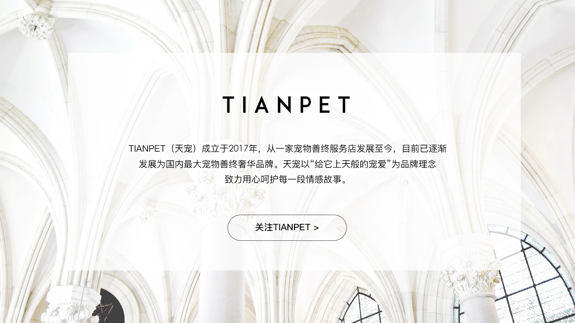 起根农村却受众城市宠物主追捧TIANPET（天宠）怎么做到的