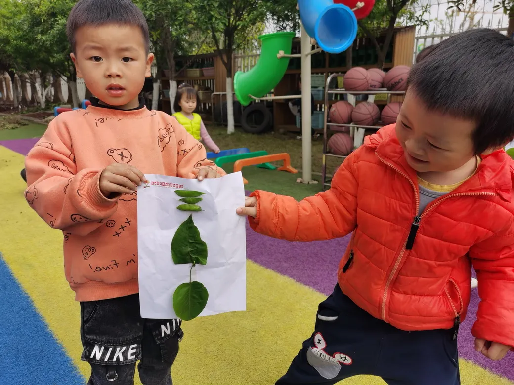 眼睛的秘密——四川天府新区华阳幼儿园南区小一班安全主题活动