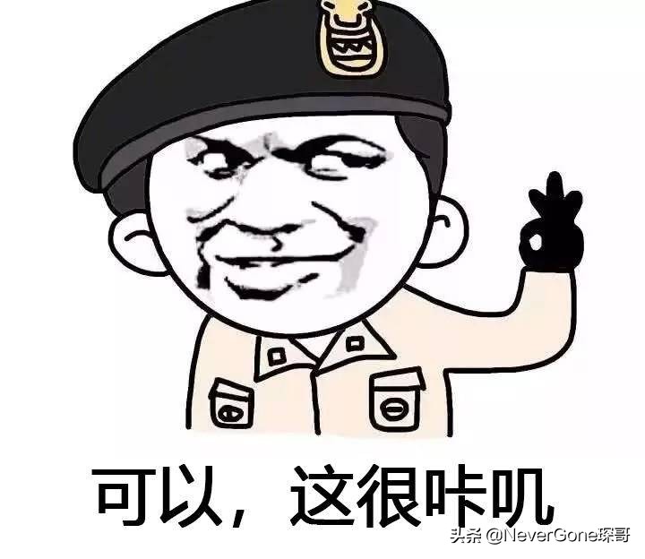 看看皮带扣？Companion Denim赫尔曼橡树植鞣腰带