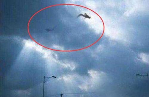 释疑解惑：古代上那么多的坠龙事件都是真的吗？？