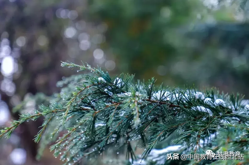 甘肃初雪|甘肃18所高校初学雪景大PK,快来看看有你的母校没?