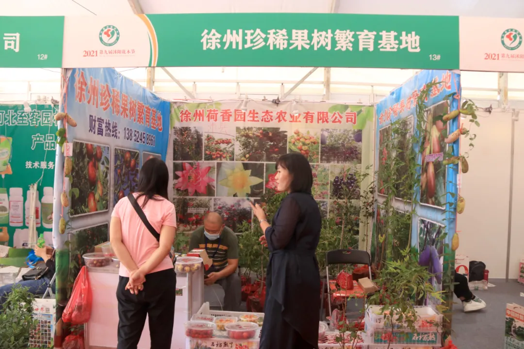 第九屆沭陽花木節(jié)苗木及園林機械展成功舉辦