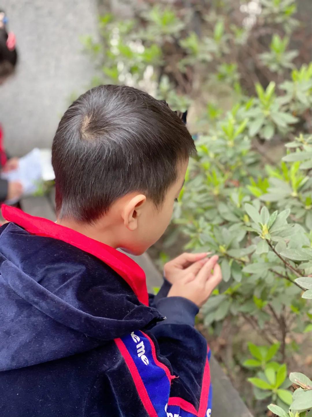 带上五官到校园里寻找春天——成都市华中附小大自然的语文课