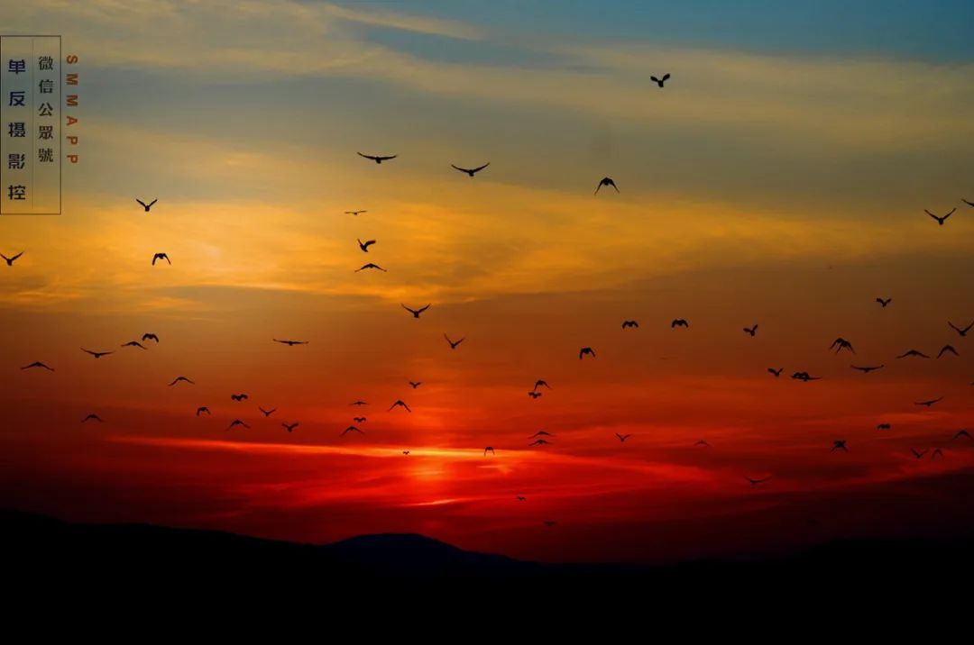 How does sunrise sunset film ability gives prize? 3 measure, give a beauty to explode! 