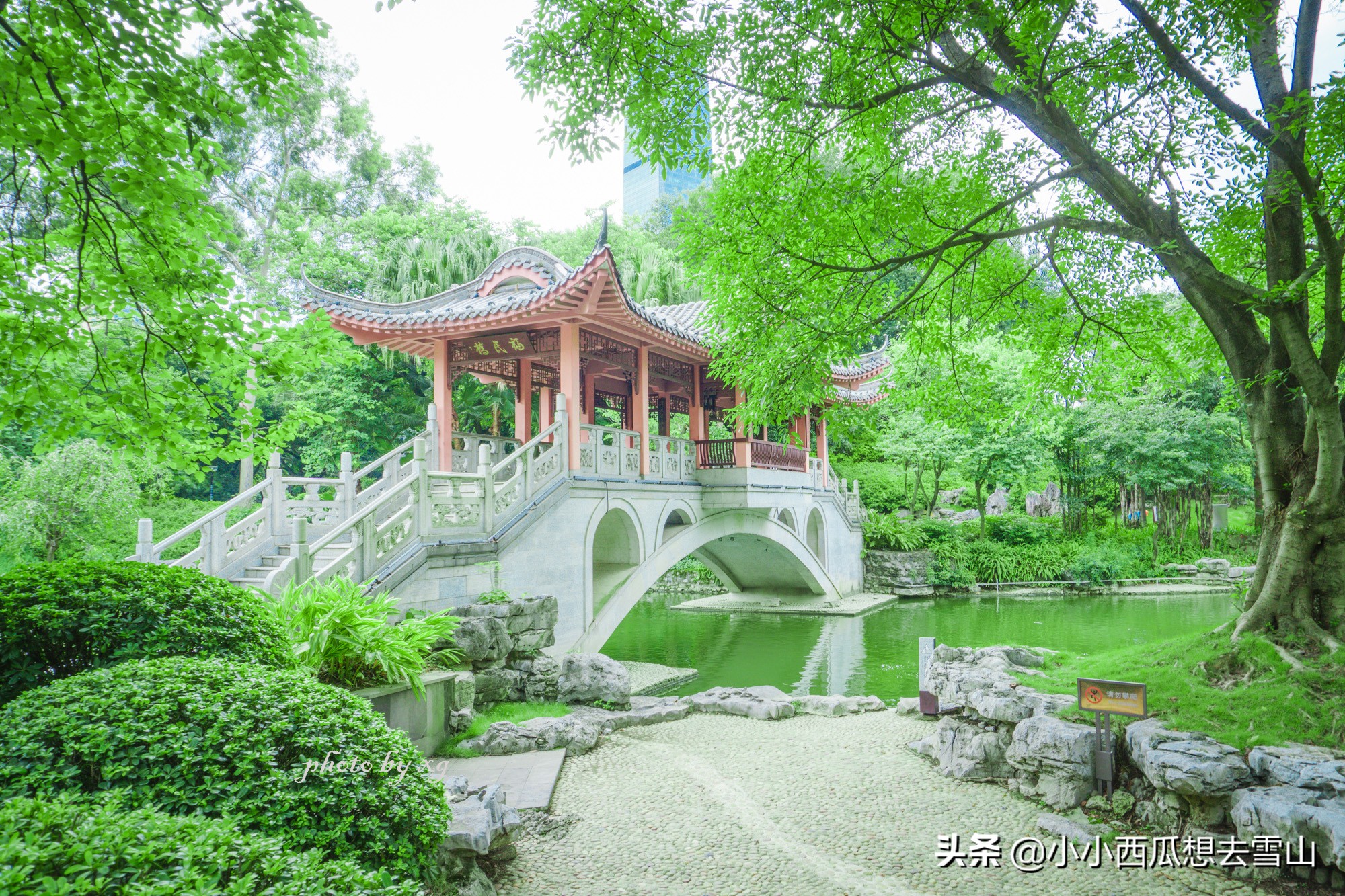 廣西唯一一個(gè)國(guó)家重點(diǎn)公園，就藏柳州，為4A級(jí)景區(qū)竟免費(fèi)對(duì)外開放