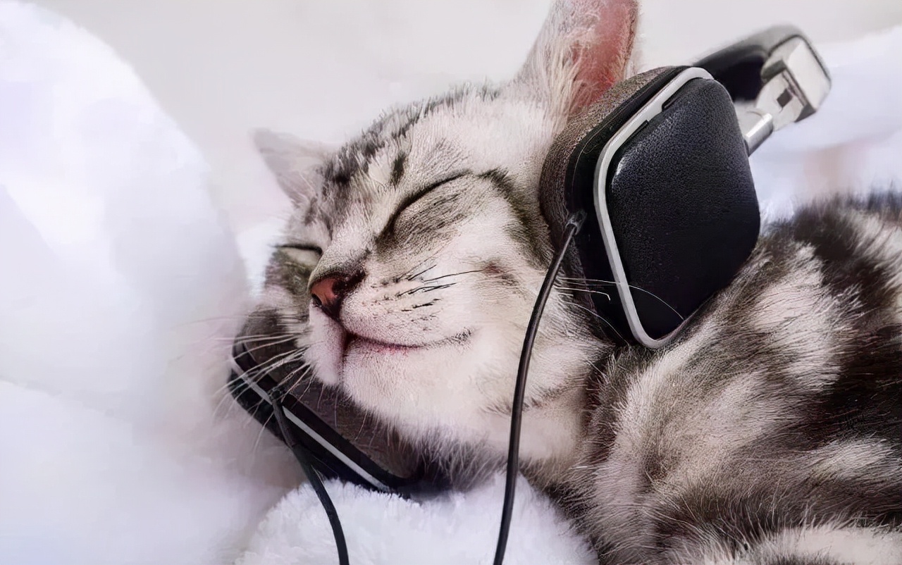 Are you with earphones?Bone conduction headphones that don't hurt your ears may be