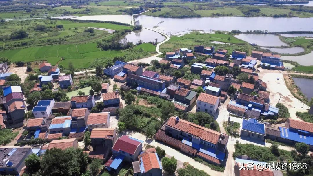 这里是,杨店