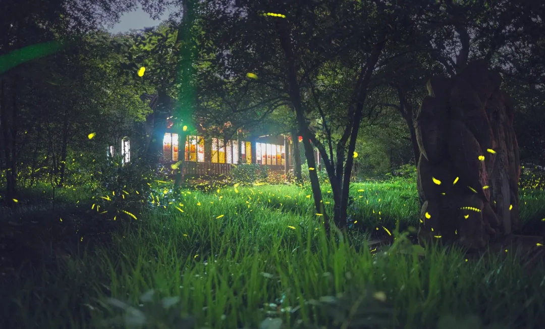 World water day, it is today not merely