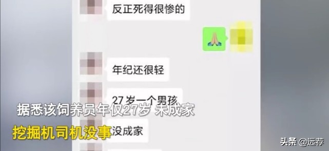 被熊袭击受害者为27岁青年！网友建议：吃人熊必须枪毙