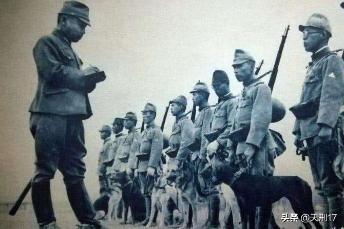 日军八百米爆头的真相：十分之一的老兵，用加