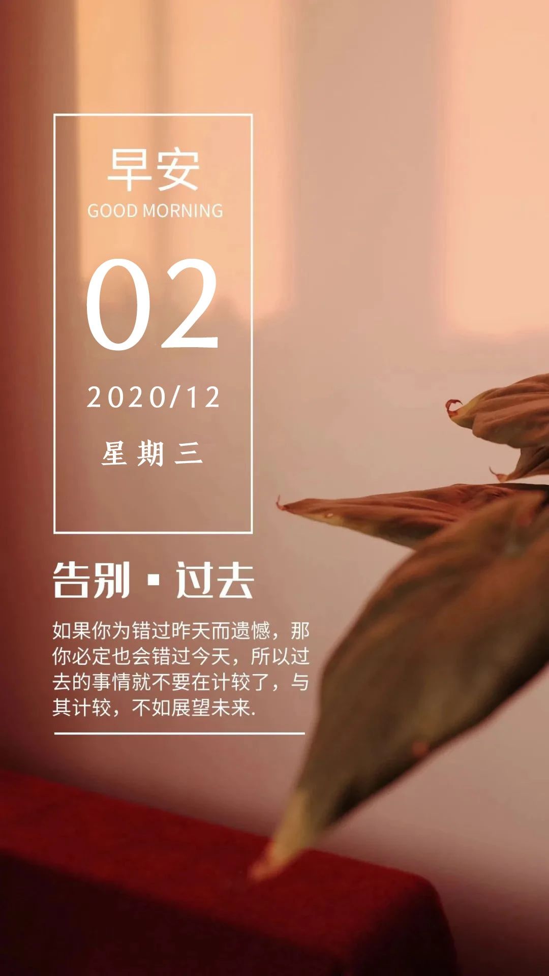 12月2日早上好问候,十二月正能量励志图片日签带字,温暖向上