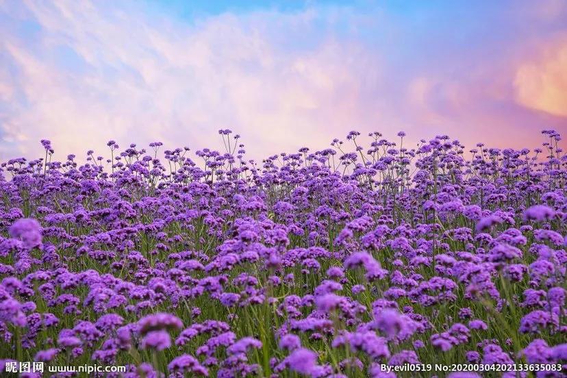 前瞻性思维，优秀文章的先行者