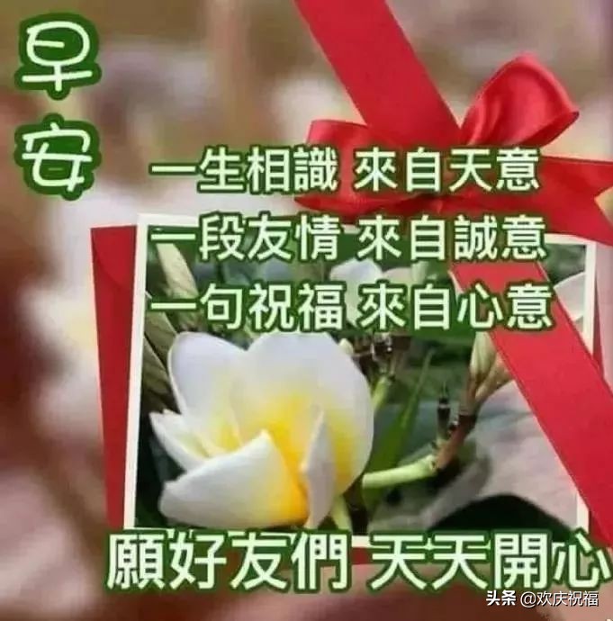 新的一周早上好问候语图片表情大全 早上好祝福表情大图图片