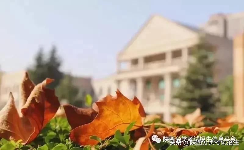 感受通识魅力 成就个性未来 | 西安外事学院