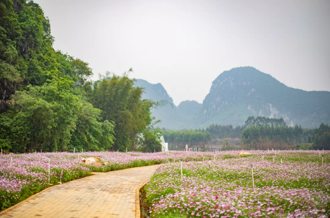 广西如果有桃花源，一定在这个小镇