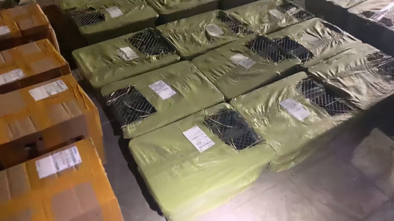 100多只猫狗奄奄一息！宠物盲盒，为何还不消停？