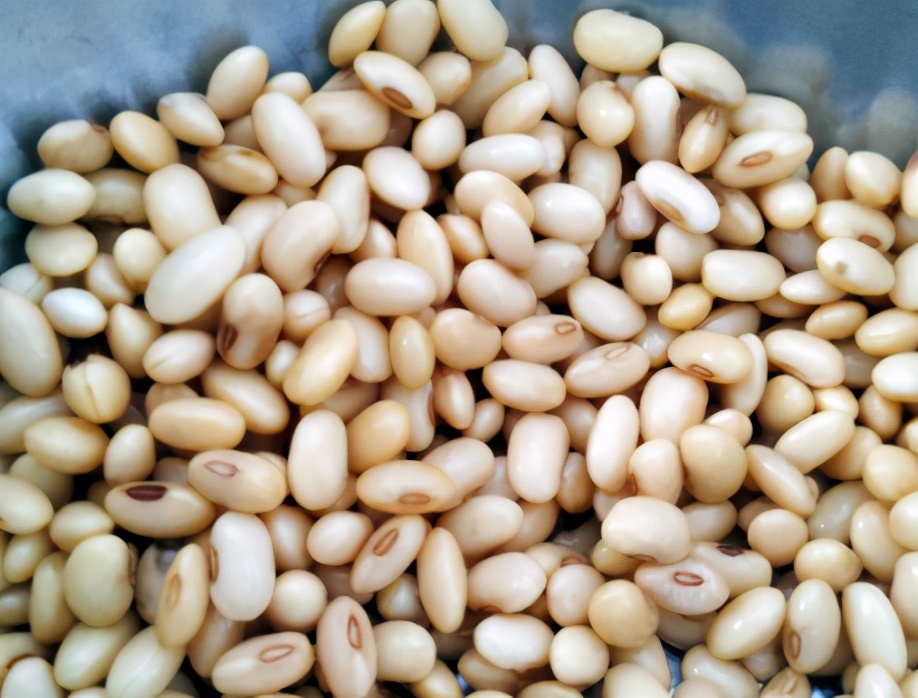 在家自製豆腐，不用內酯不用鹵水，豆腐又嫩又白淨，零難度零失敗