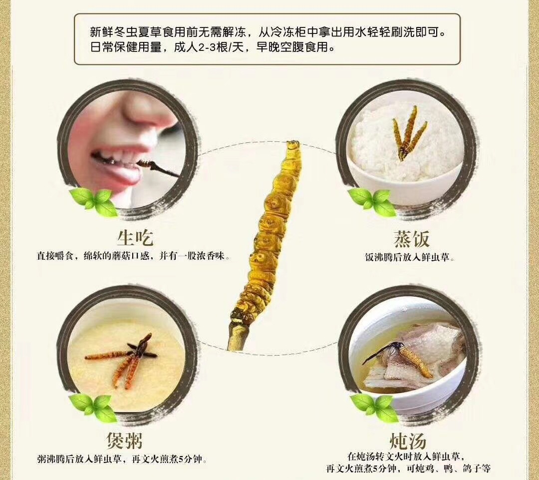 鲜虫草食用方法图片
