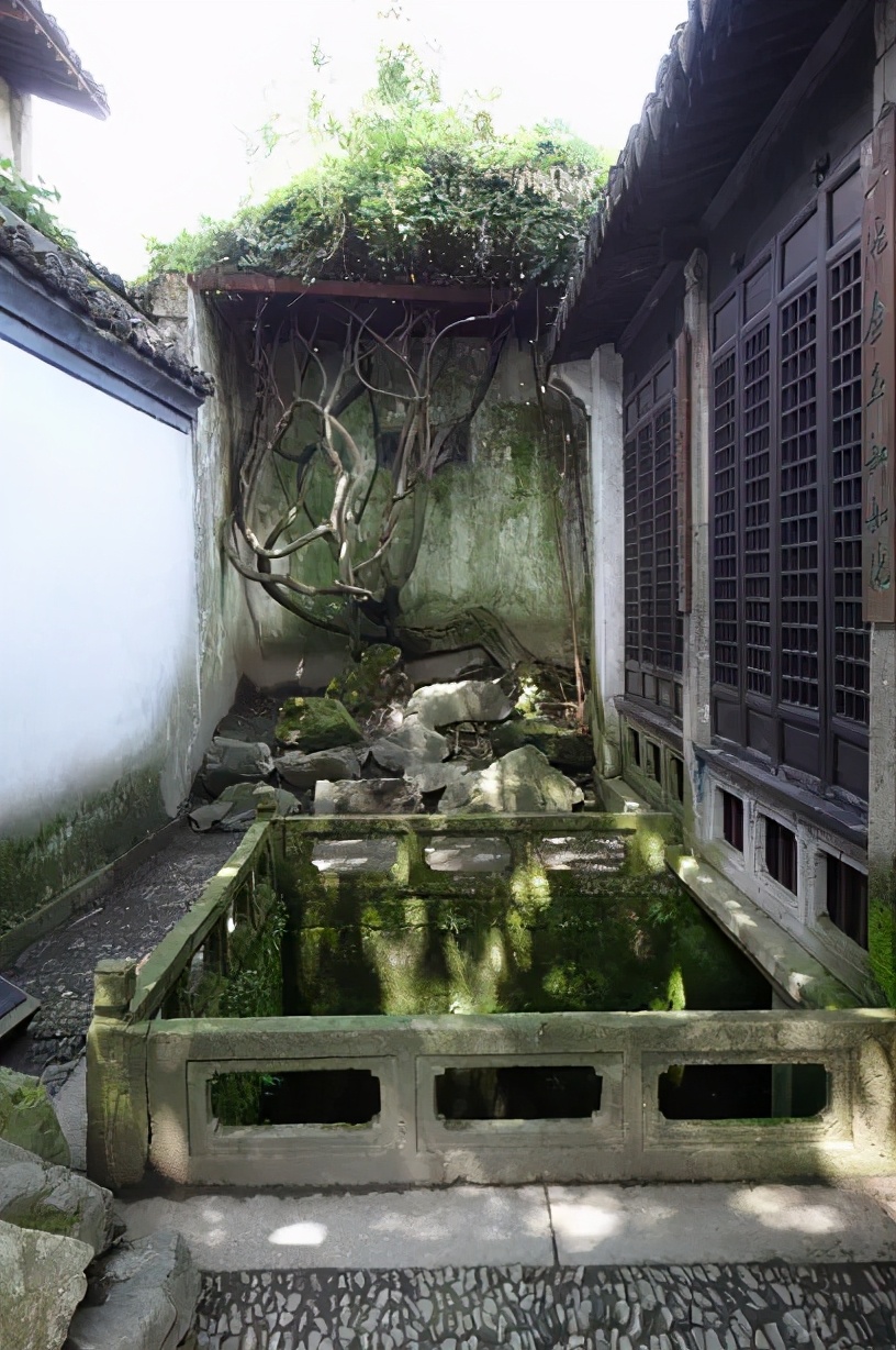 曾祥裕风水团队考察绍兴青藤书屋，认为布局虽精致，但太阴湿