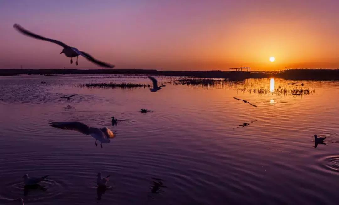 go-to-the-beach-to-shoot-the-sunrise-on-such-a-cold-day-this-moment-is