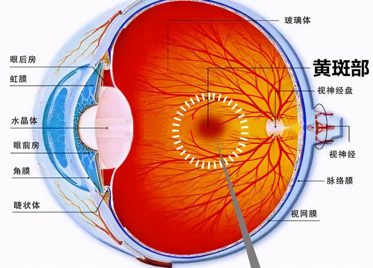 最近，&ldquo;老黄&rdquo;找上了老黄