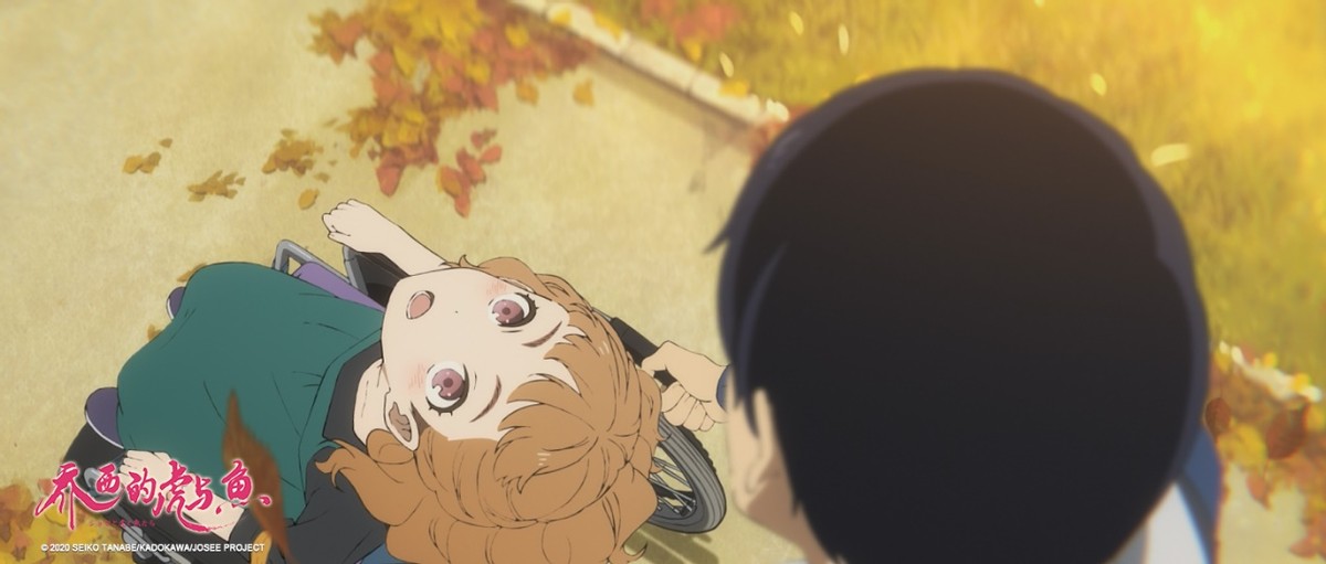 《乔西的虎与鱼》高分热映，纯爱青春竟成治愈良药