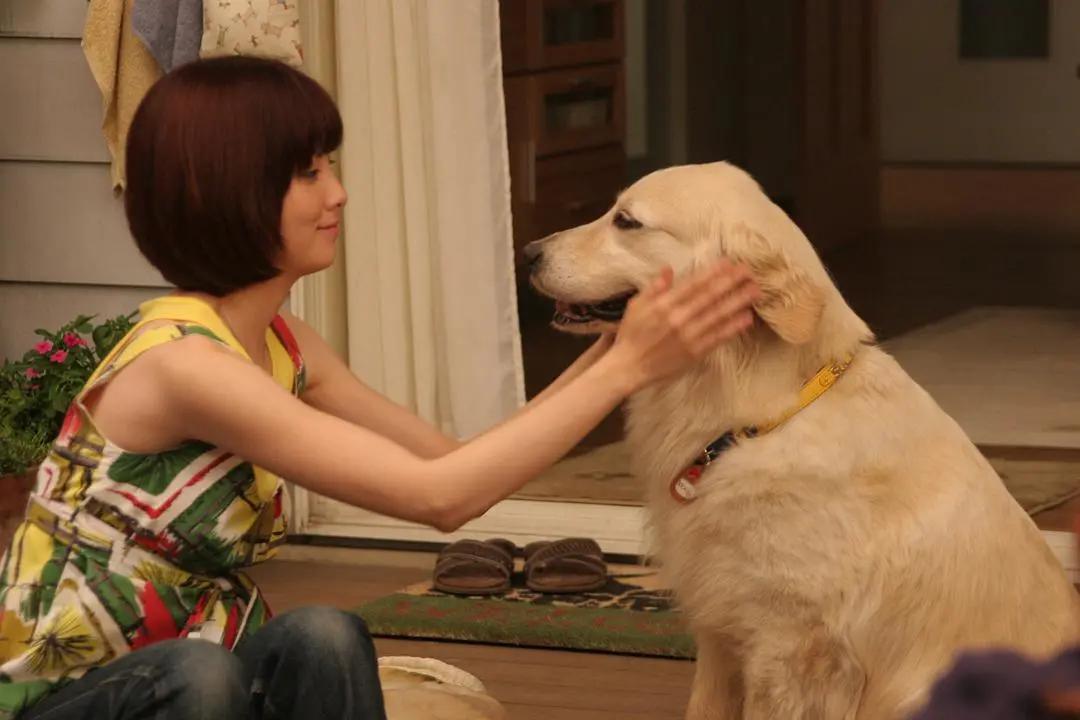 日本最催淚的10部電影，全都感人至深，讓人哭到不行