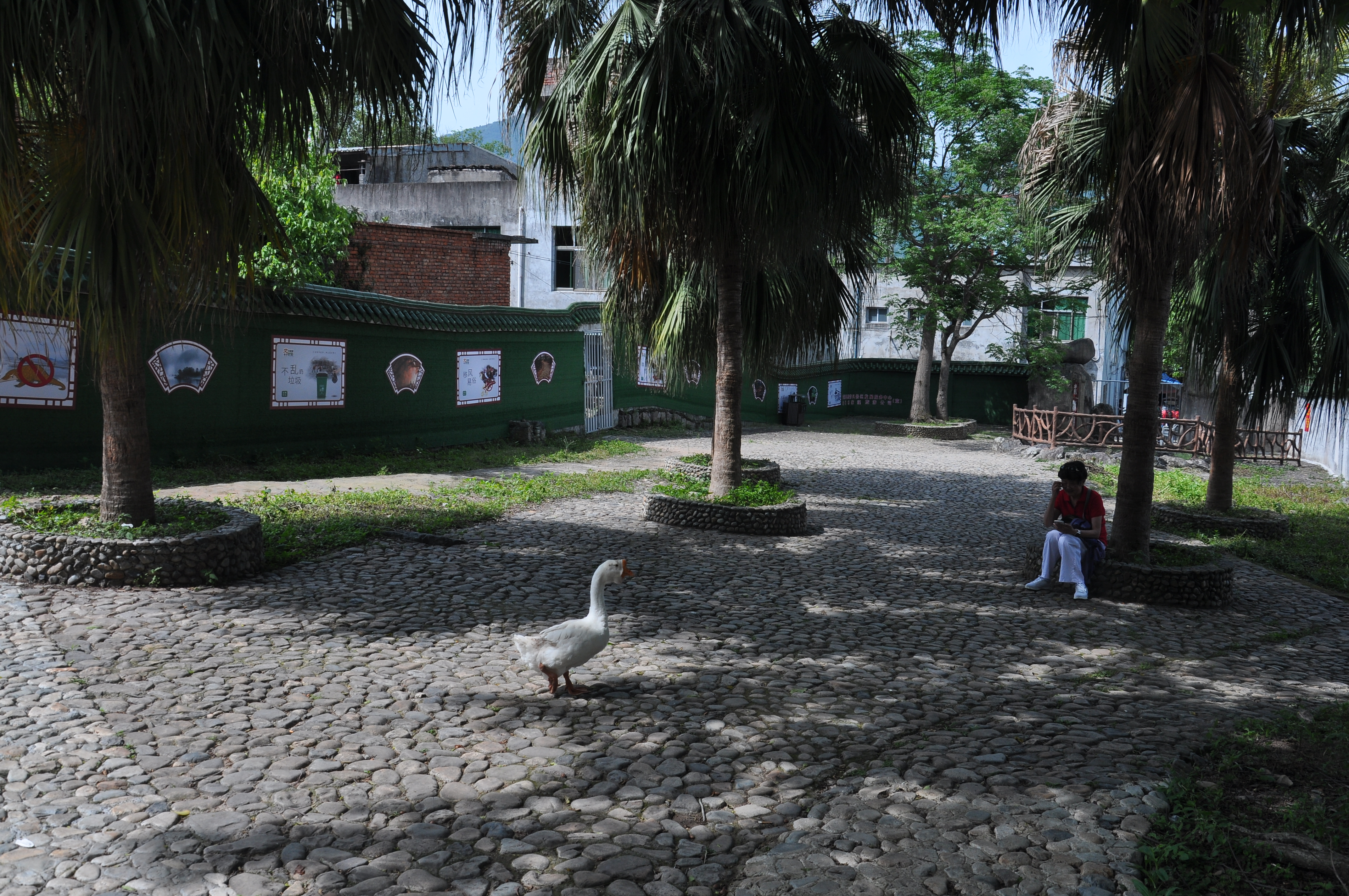 我们的霞浦路线图：光影栈道、东壁、杨家溪、赤溪、S弯、下尾岛