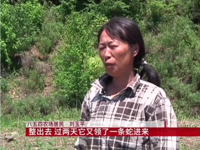 女子与蛇同居15年，浙江绍兴村民家中3条大蛇赖着不走，啥情况？-第1张图片-大千世界